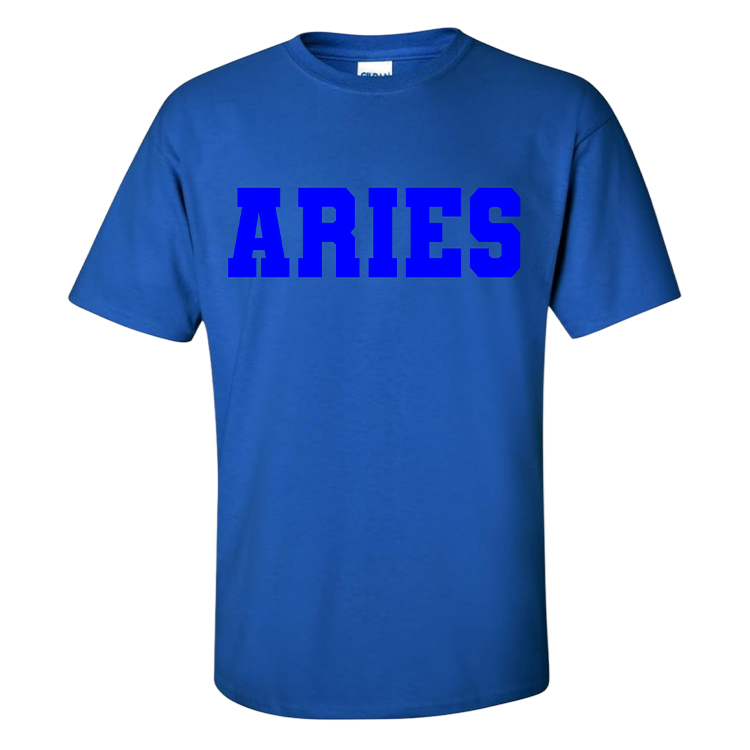 Aries T-Shirt